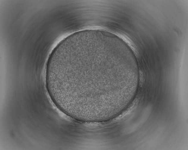 X0000111161046200907281149