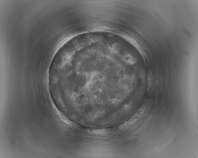 X0000111161047200907281149