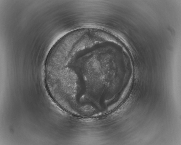 X0000111161048200907281149