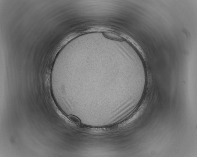 X0000111161049200907281149