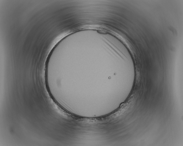 X0000111161050200907281149
