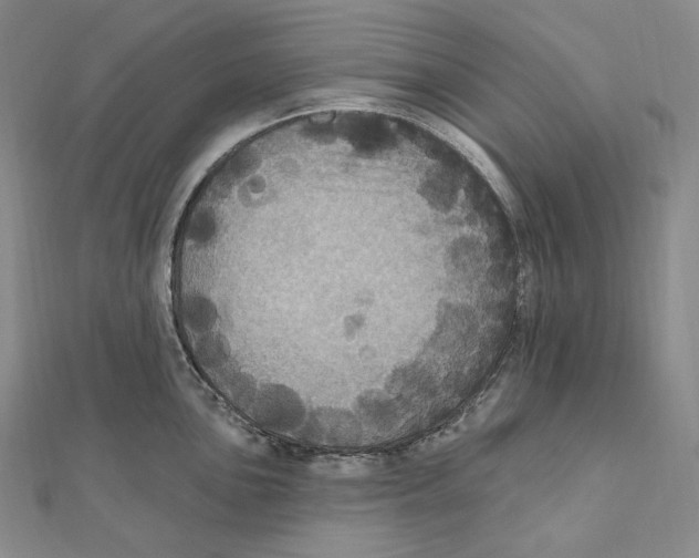 X0000111161051200907281149
