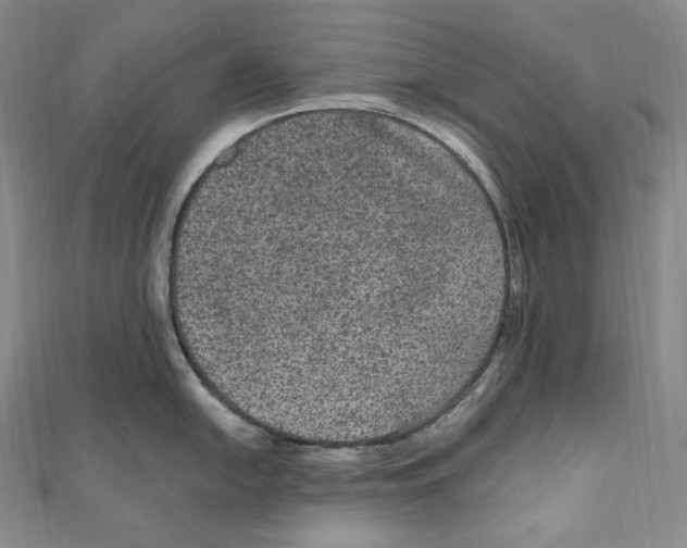 X0000111161054200907281149