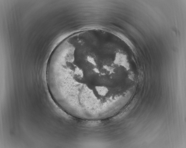 X0000111161055200907281149