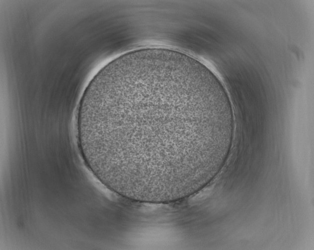 X0000111161056200907281149
