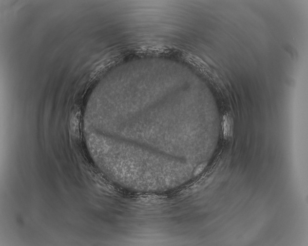 X0000111161059200907281148