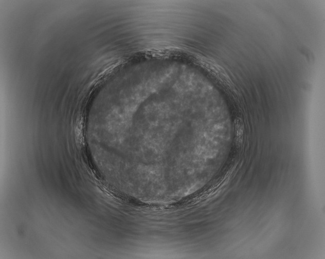 X0000111161060200907281148