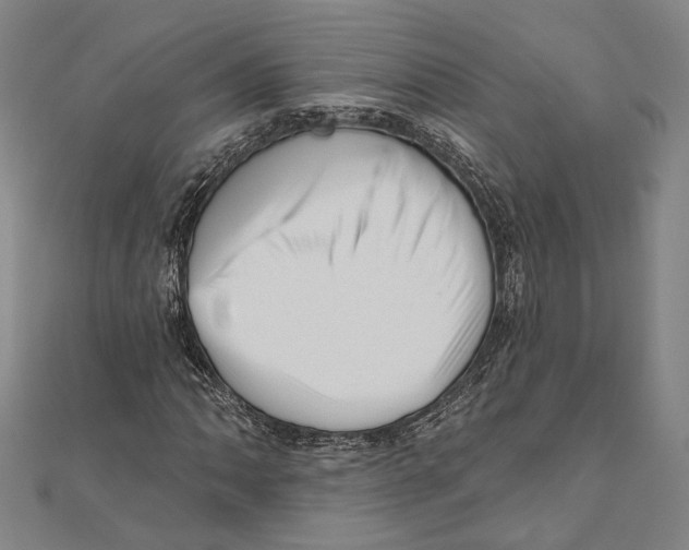 X0000111161062200907281148