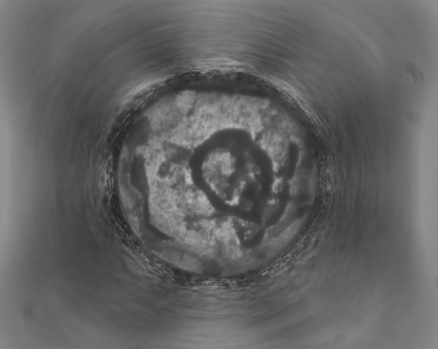 X0000111161063200907281148