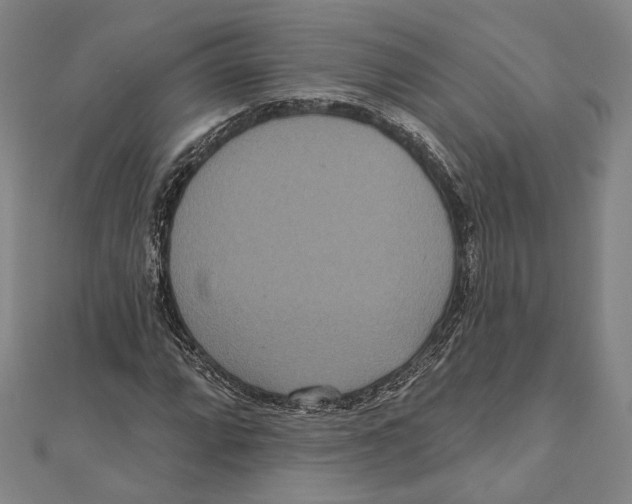 X0000111161064200907281148