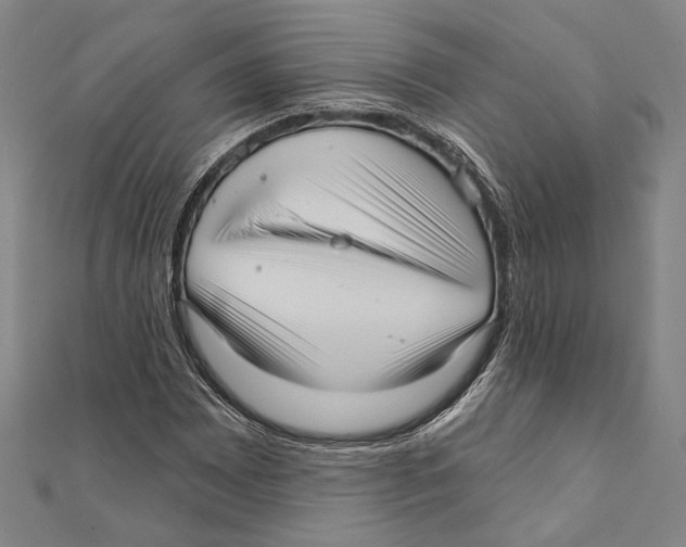 X0000111161065200907281148