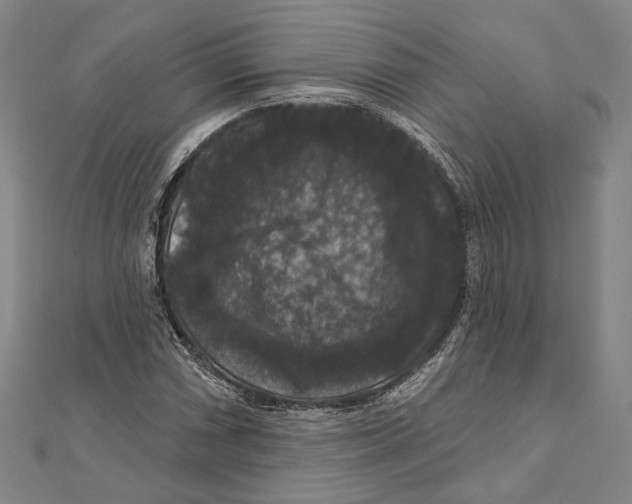 X0000111161066200907281148