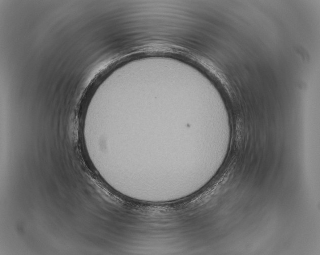 X0000111161067200907281148