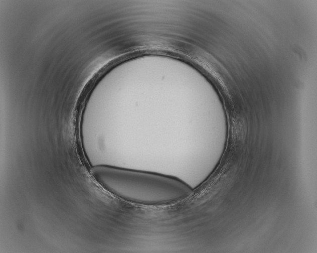 X0000111161068200907281148