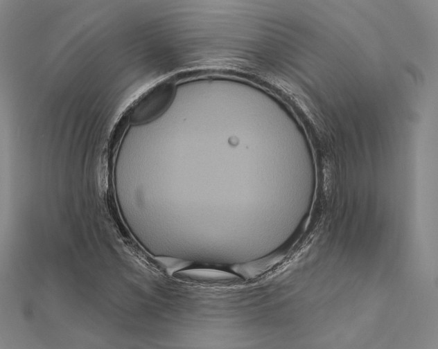 X0000111161069200907281148