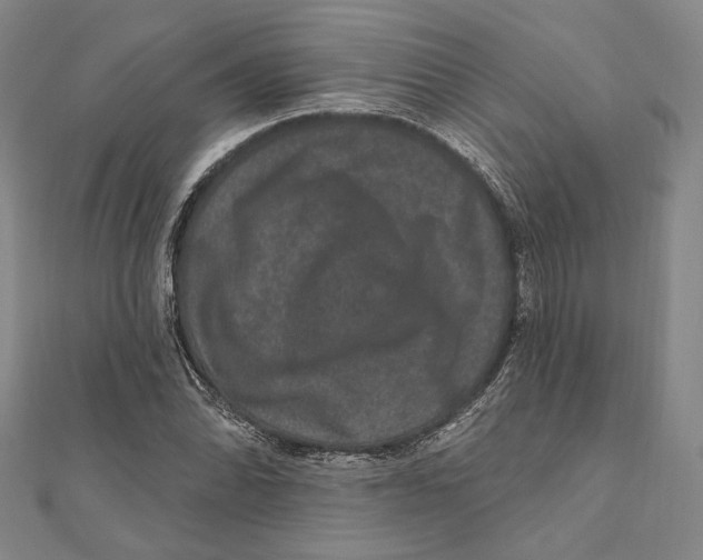 X0000111161070200907281148