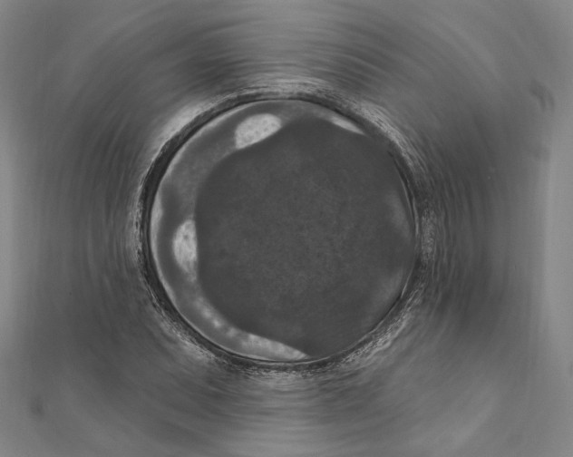 X0000111161071200907281148