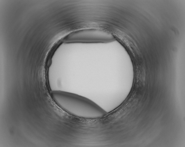 X0000111161072200907281148