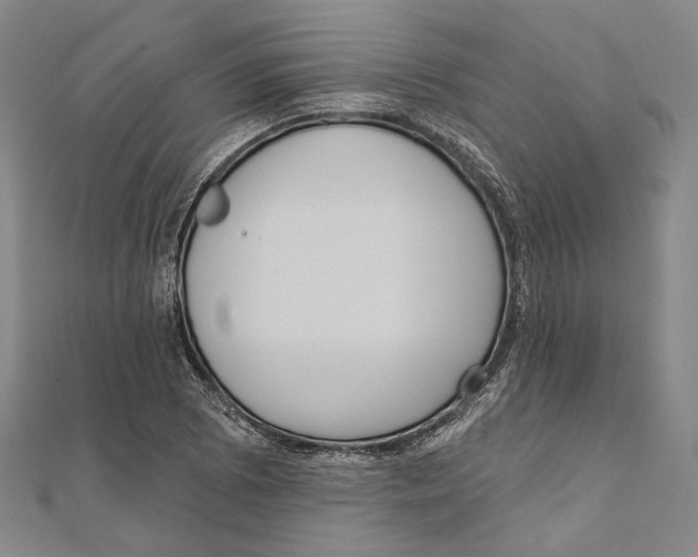 X0000111161073200907281148