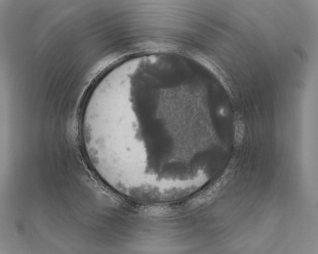 X0000111161074200907281148