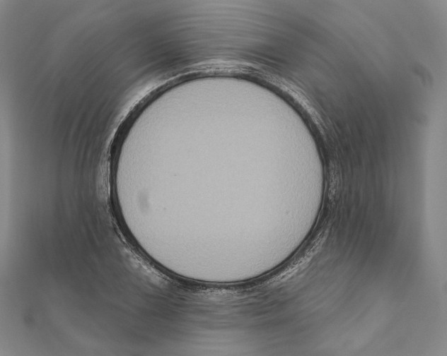 X0000111161075200907281148