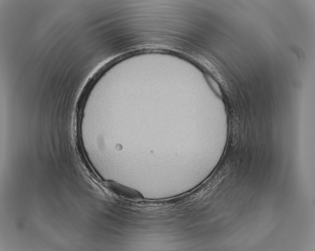 X0000111161076200907281148