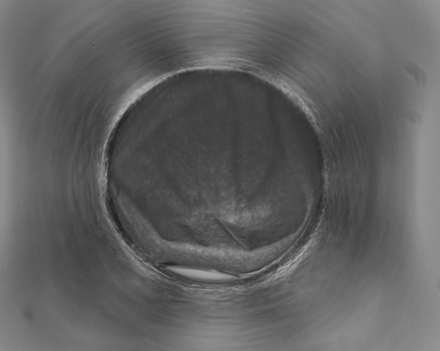 X0000111161077200907281148