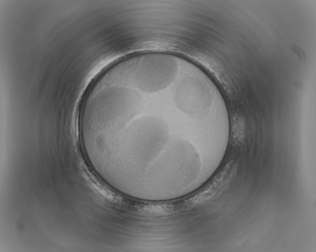 X0000111161078200907281148