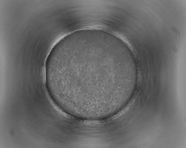 X0000111161079200907281148