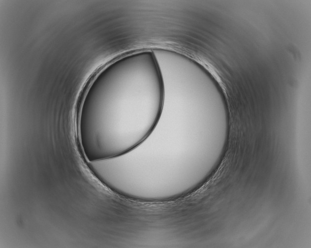 X0000111161080200907281148