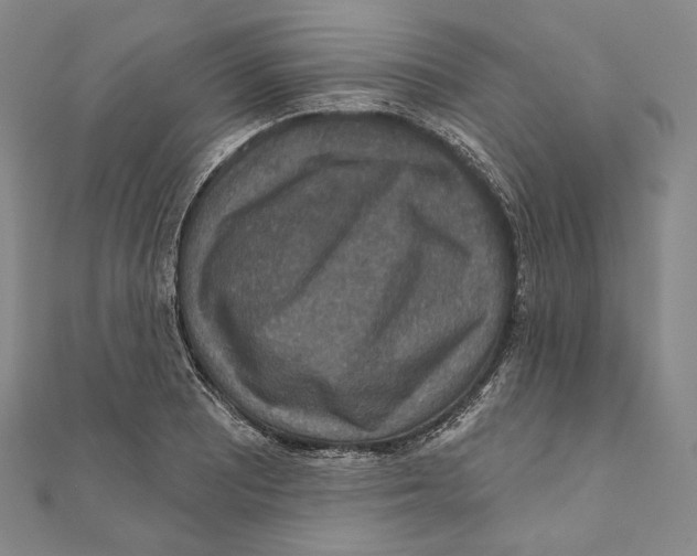 X0000111161081200907281148