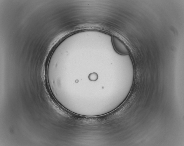 X0000111161082200907281148