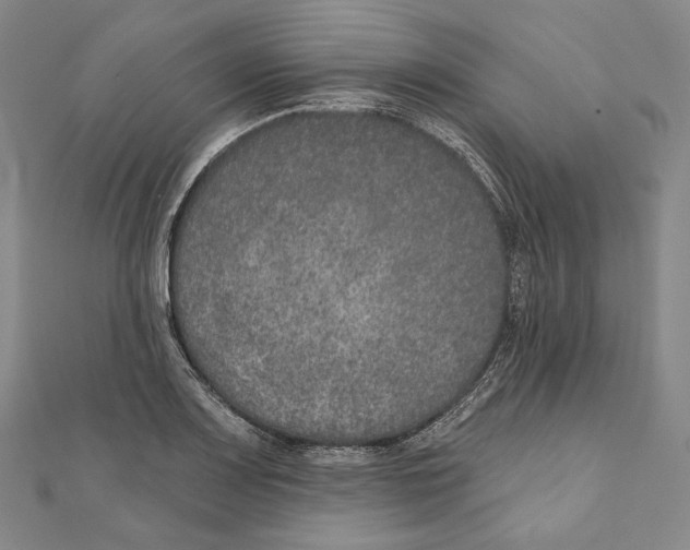 X0000111161083200907281148