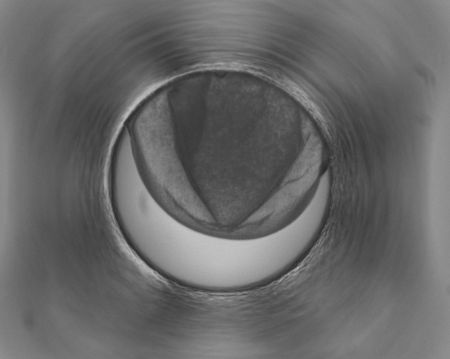 X0000111161084200907281148