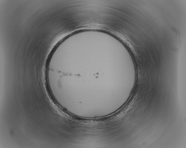 X0000111161085200907281148