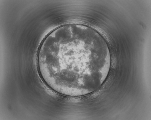 X0000111161086200907281148