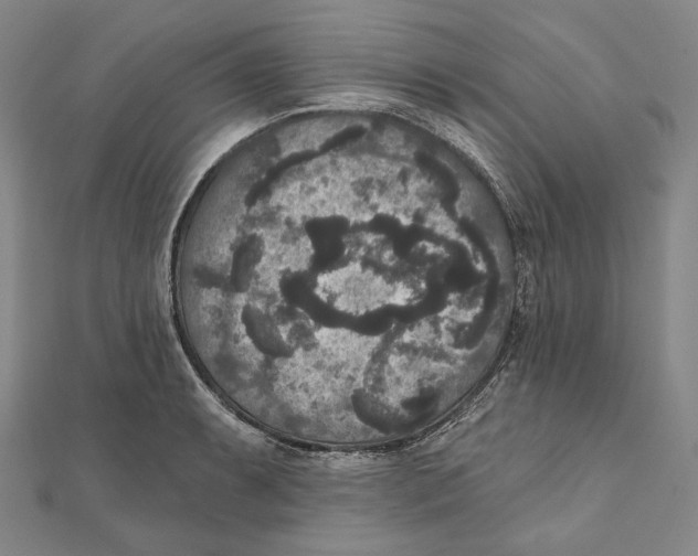 X0000111161087200907281148