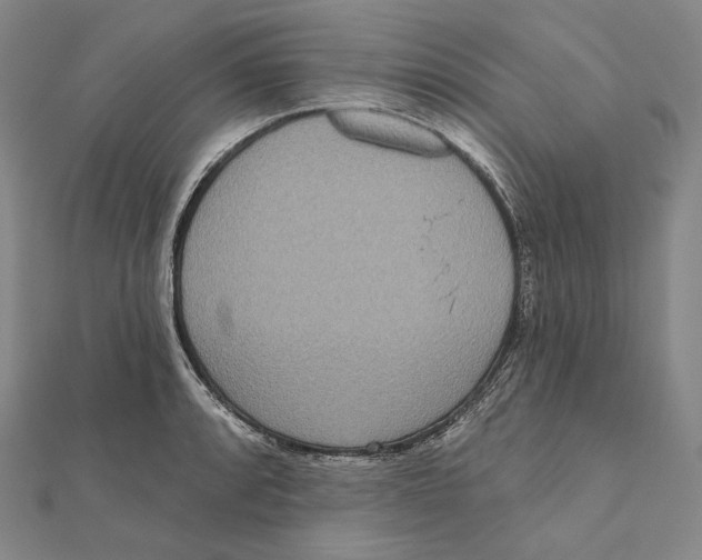 X0000111161088200907281148