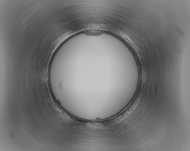 X0000111161089200907281148