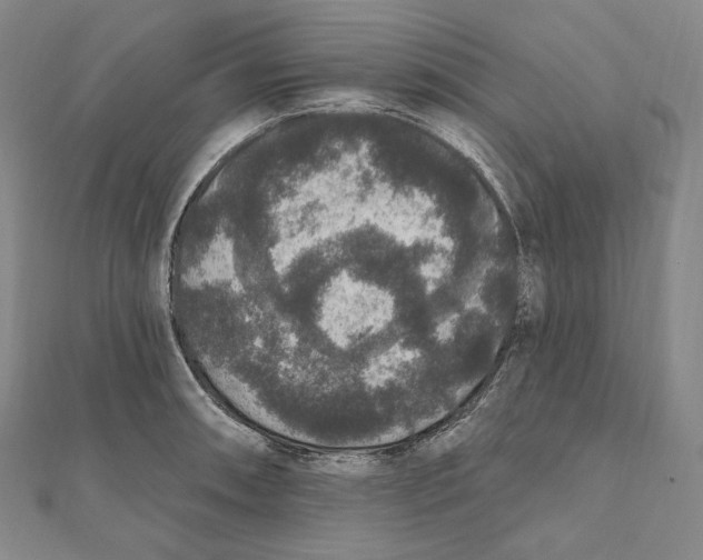 X0000111161090200907281148