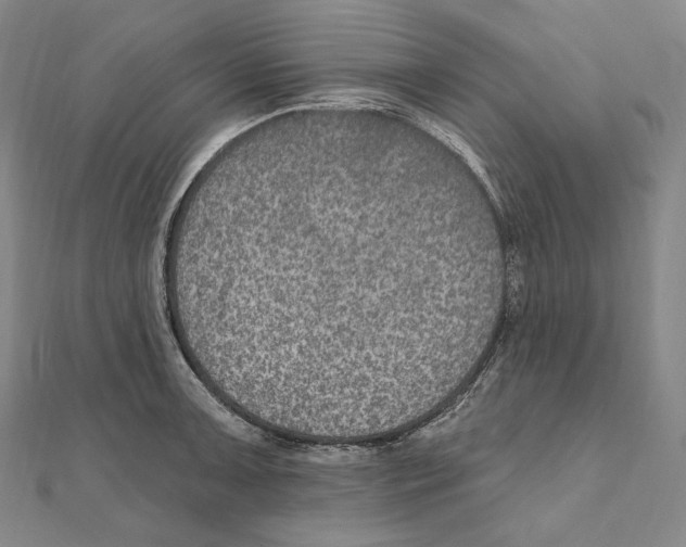 X0000111161091200907281148