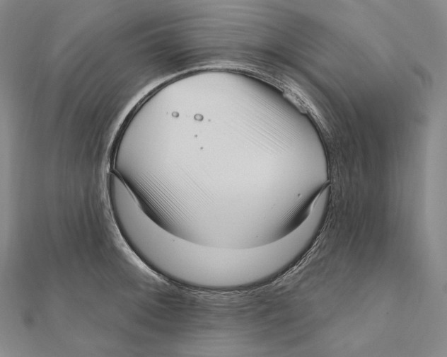 X0000111161092200907281148