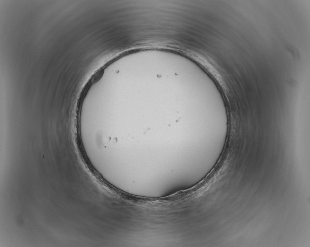 X0000111161093200907281148