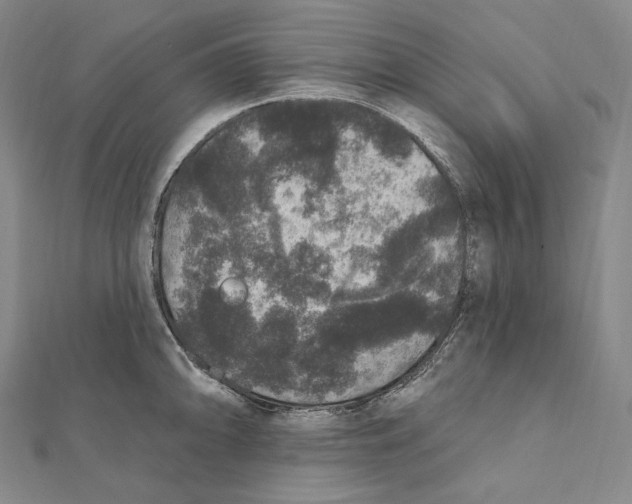 X0000111161094200907281148