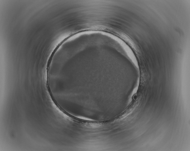 X0000111161095200907281148