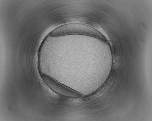 X0000111161096200907281148