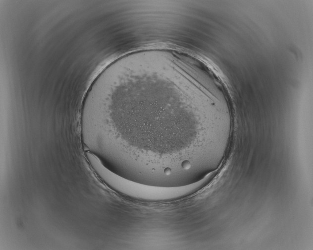 X0000111161097200907281148