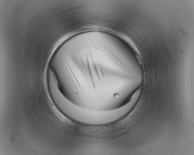 X0000111161098200907281148