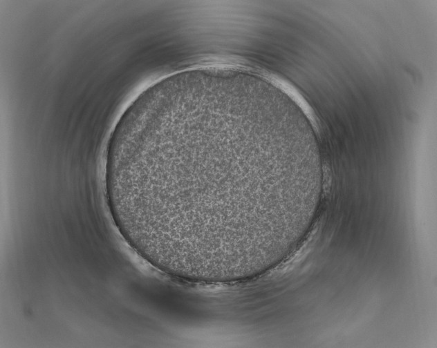 X0000111161099200907281148