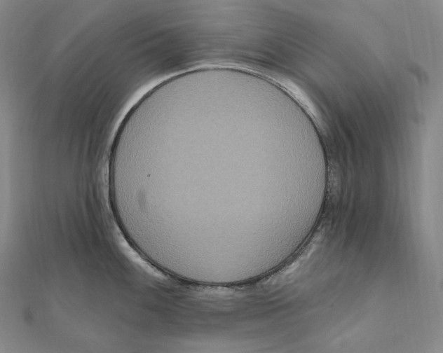 X0000111161100200907281148